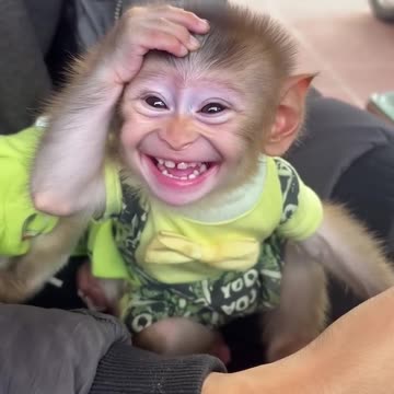 Baby monkeys smile with their hearts, and we feel it in ours