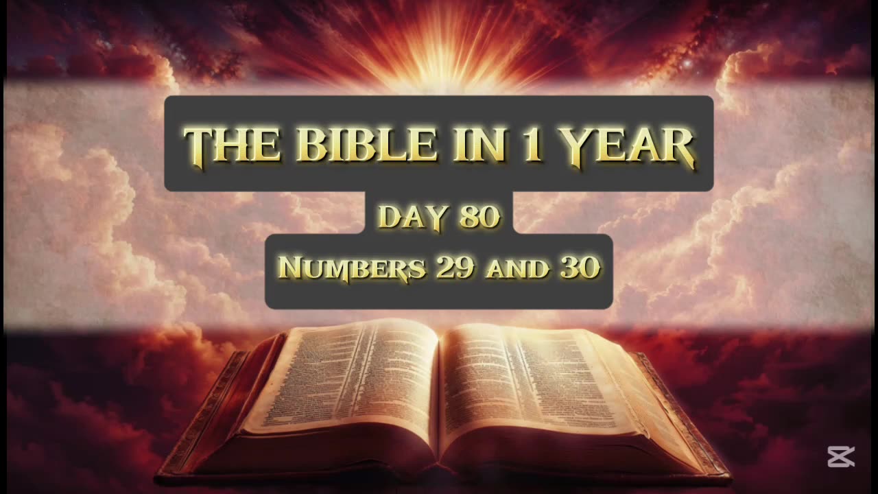 Day 80 of 365 (THE WHOLE BIBLE)