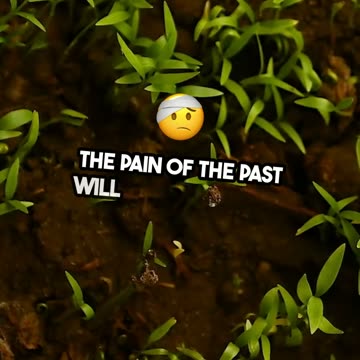 Isaiah 65:17 New Heavens and New Earth