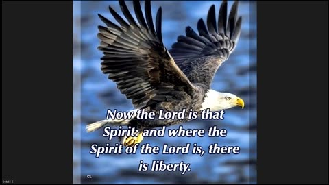 ON A WING AND A PRAYER - 08022025