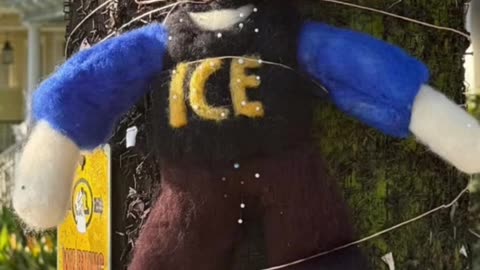 ICE Voodoo Doll (Lifting the Veil 28)