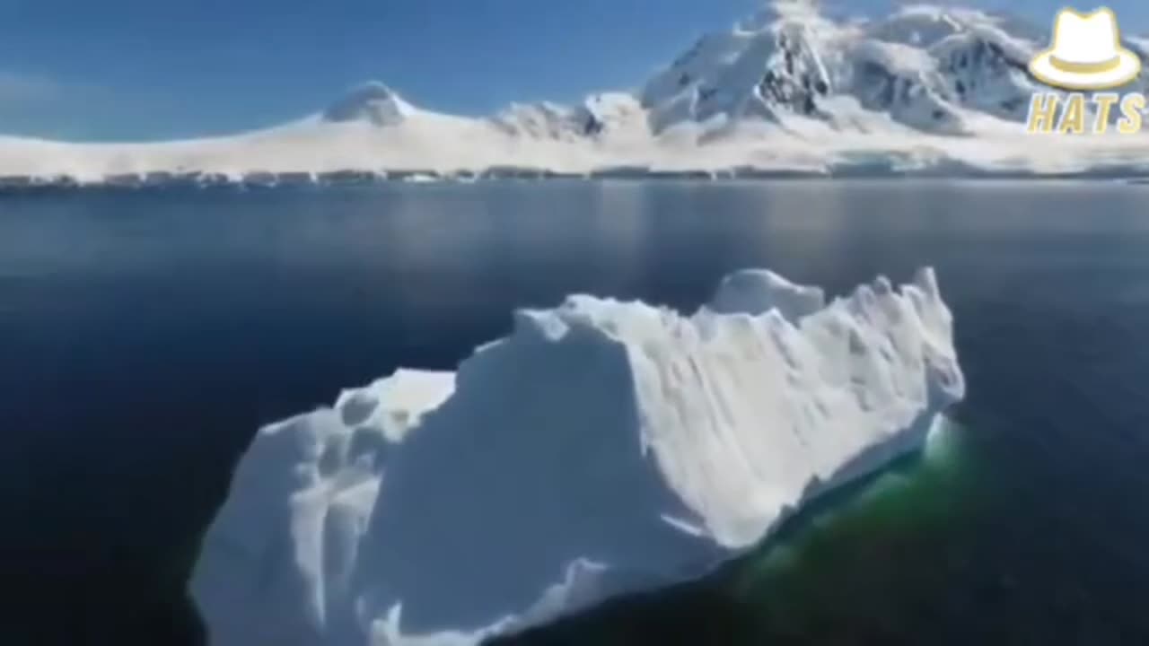 антаркида анг