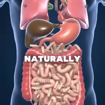 6 POWERFUL FOODS THAT CAN ELIMINATE PARASITES NATURALLY!