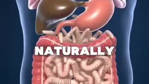 6 POWERFUL FOODS THAT CAN ELIMINATE PARASITES NATURALLY!