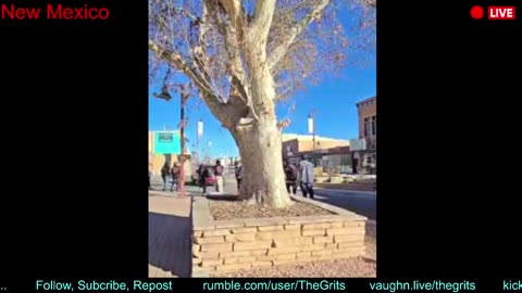 LIVE : Protests & Live Events