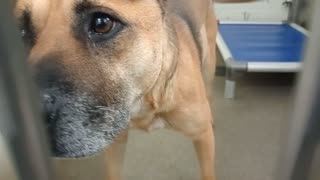 VID_20251119_172650859