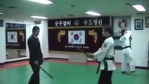 Grandmaster Shin Hapkido