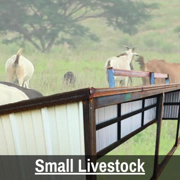 American-Made Small Livestock Sheds