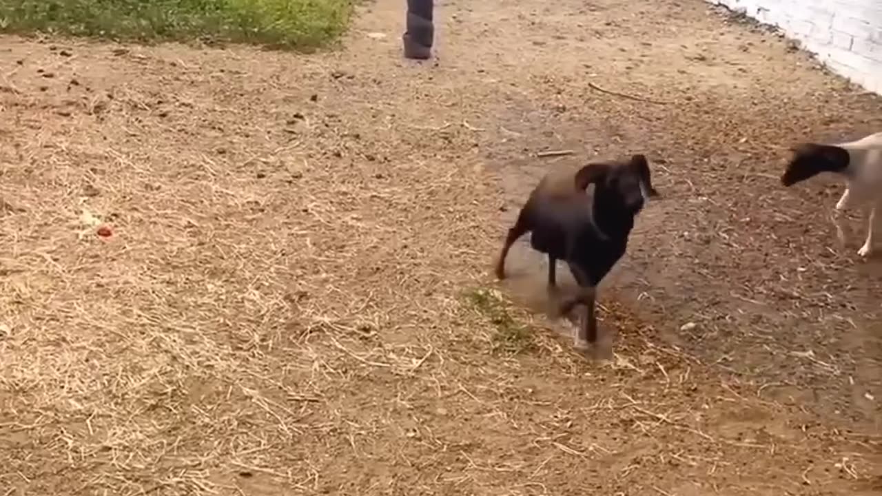 funny