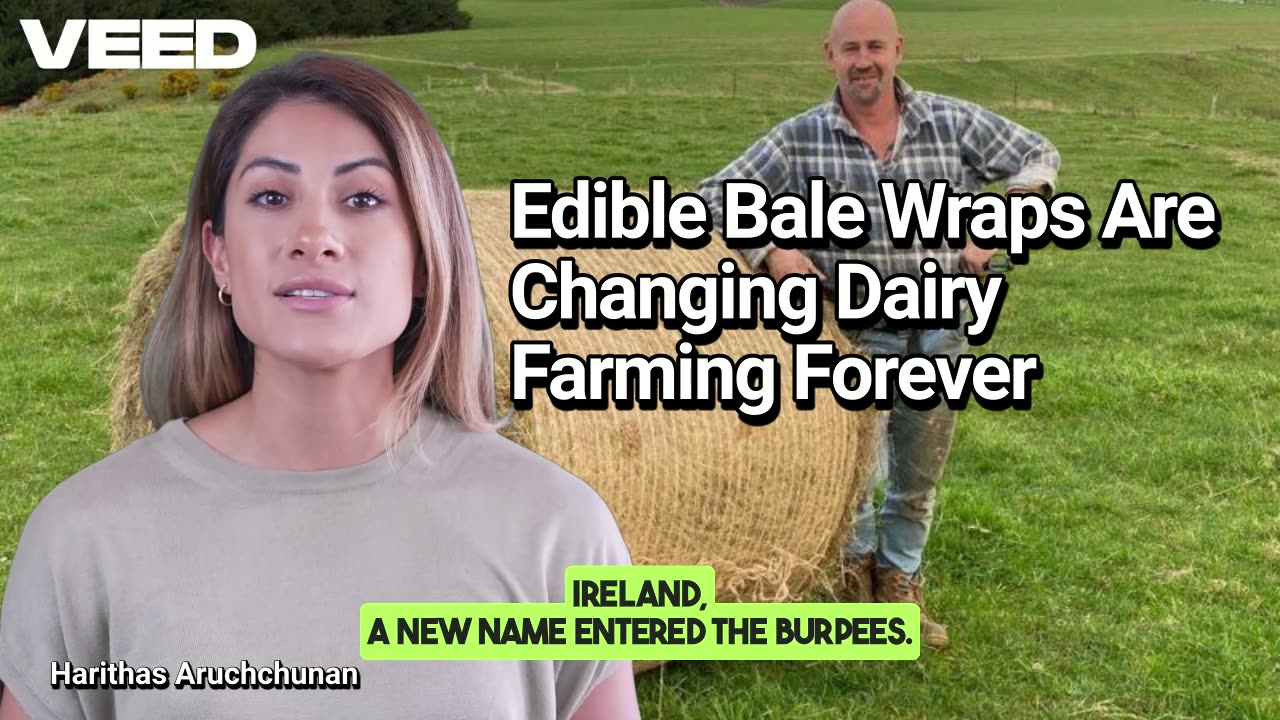 Bite Into Sustainability: Edible Bale Wraps Are Changing Dairy Farming Forever
