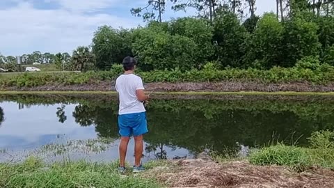 chi la fa l aspetti with live bait tarpon and snook fishing in Florida_part5