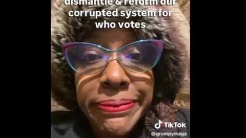 No Surprises Here - Until The Machines are REMOVED I Will Be A Disenfranchised American