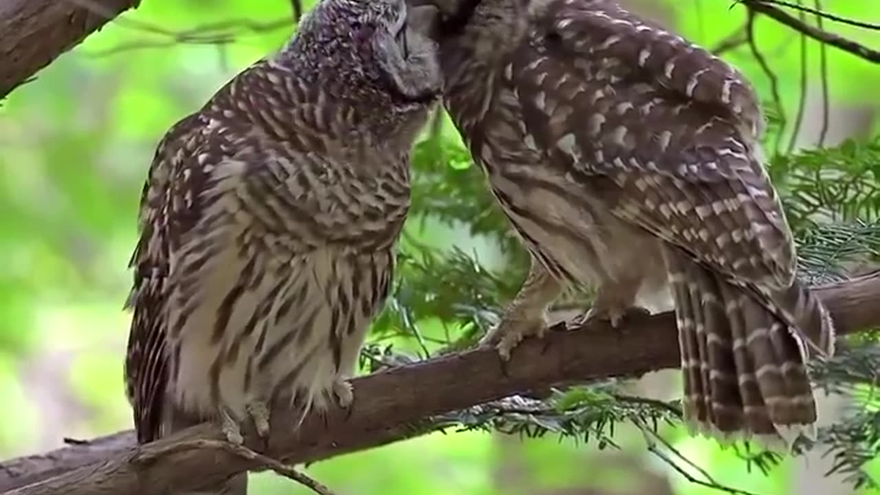 Made for each others