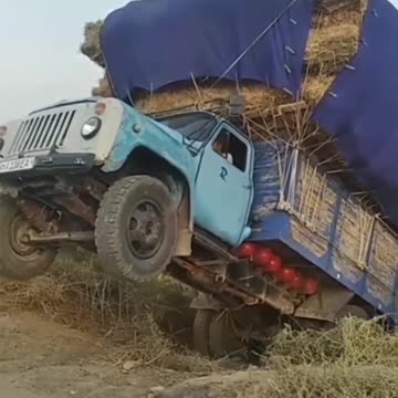 The overloaded lawn with hay stood up on its hind legs