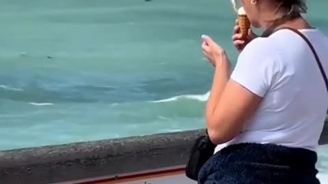 😱🍦 Seagull Brunch Hour: Sharon Left Her Ice Cream UNATTENDED! | FunFM