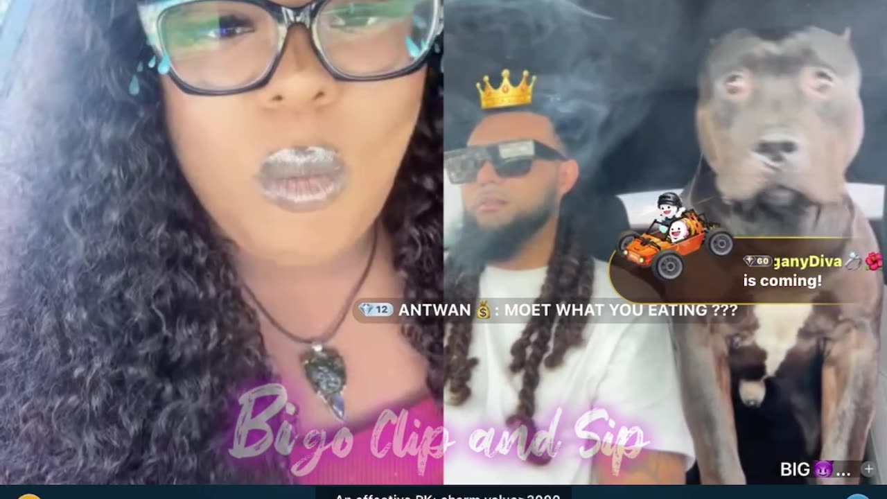 Moet lines Papi n barks at his dog Venom 3/19/25 #bigoclipandsip