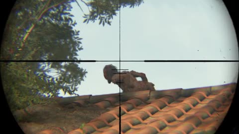 My Headshot didn't kill it?