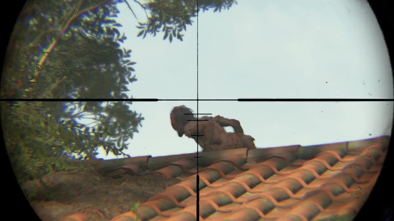 My Headshot didn't kill it?