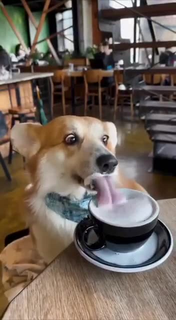 Good morning coffee!