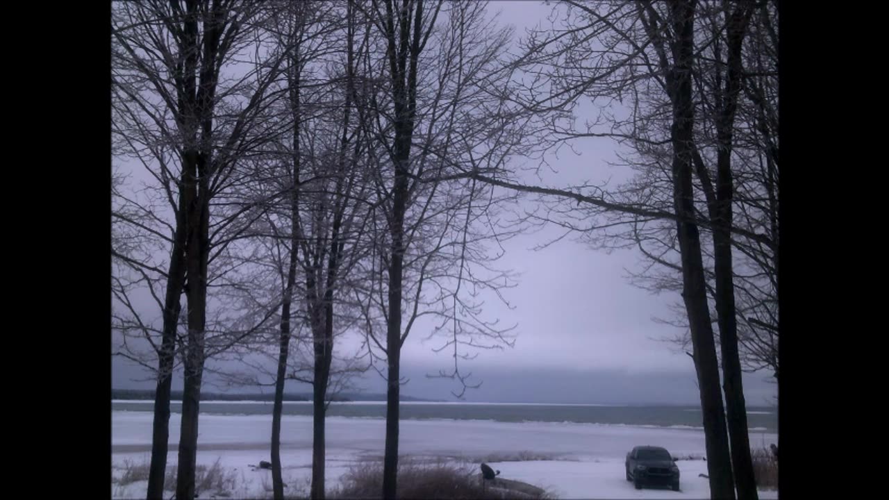Ice