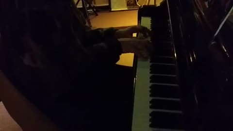Muscle Shoals Studio this piano was used to write Free Bird I'll put more info in description