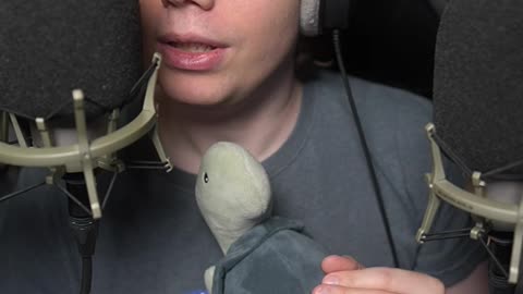 Sammy The Kissing Turtle Is Back ASMR