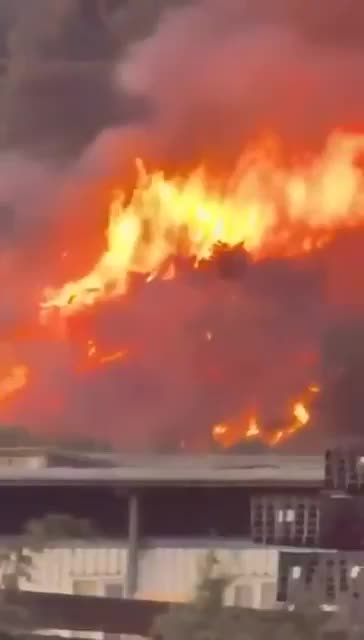 🚨Arsonist caught on Camera