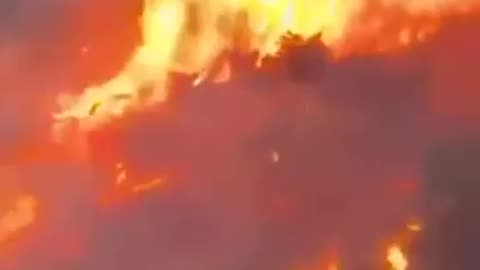 🚨Arsonist caught on Camera