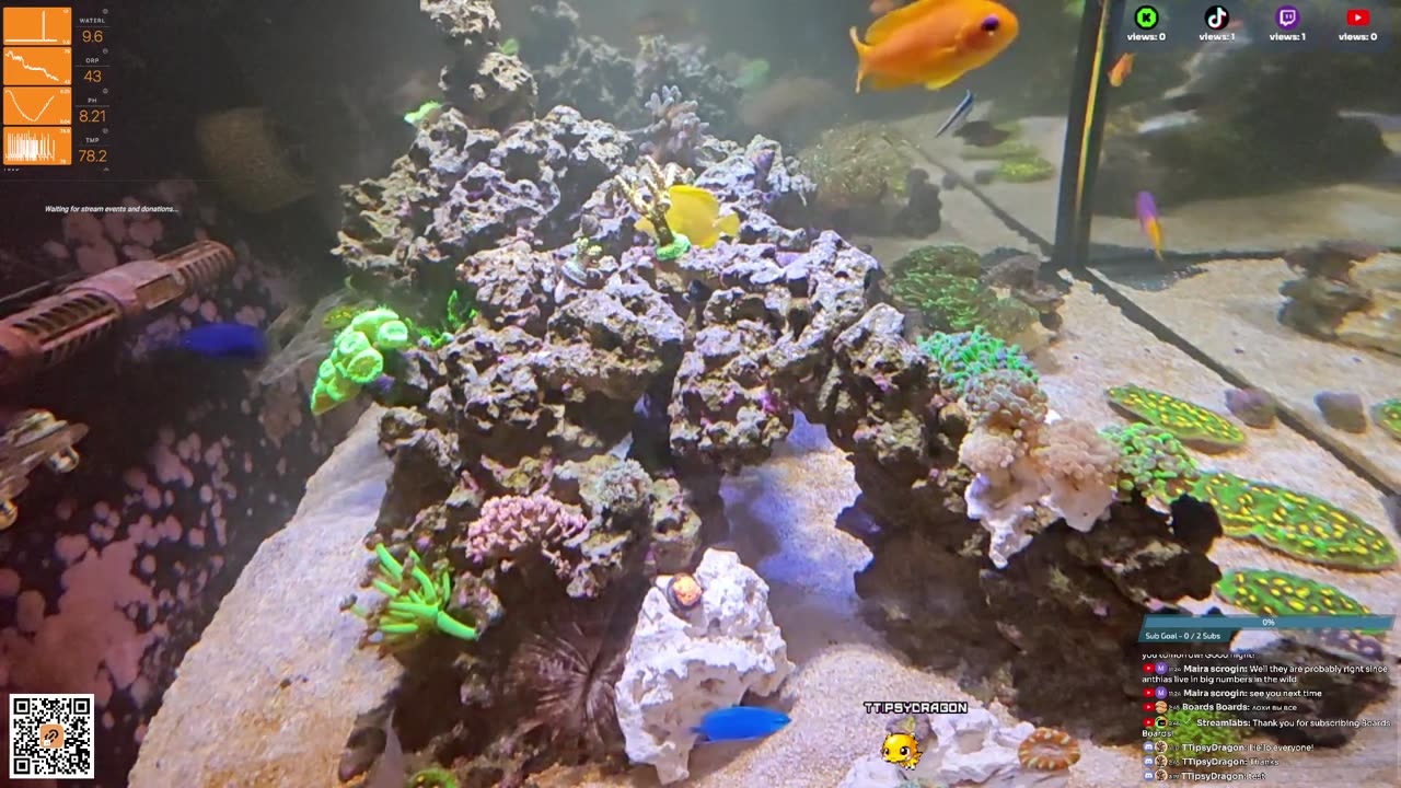 24/7 Real Live Reef Stream