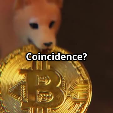 Musk Gets Richer: How Tesla’s Stock Rocketed Overnight! 🔥 #Tesla #ElonMusk