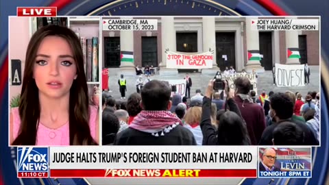 Lyman: Trump's Foreign-Student Ban Opportunity To Re-Focus American Institutions