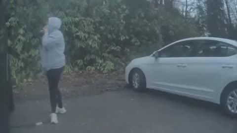 Latest Tesla Terrorists caught vandalizing a Cyber Truck.