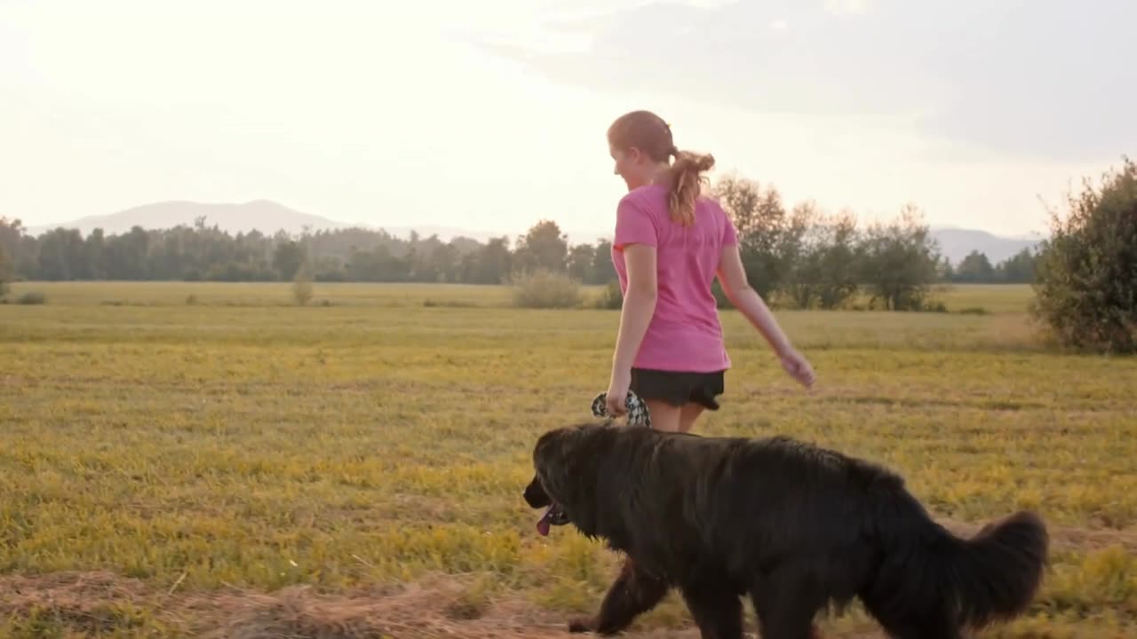 10 Largest Dogs in the World | Pets Guidelines