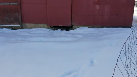 Void floof showed me his top secret hiding spot, don't tell anybody.