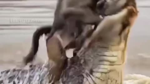 Never give up