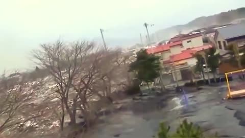 Japan Tsunami a strange creature was caught on camera