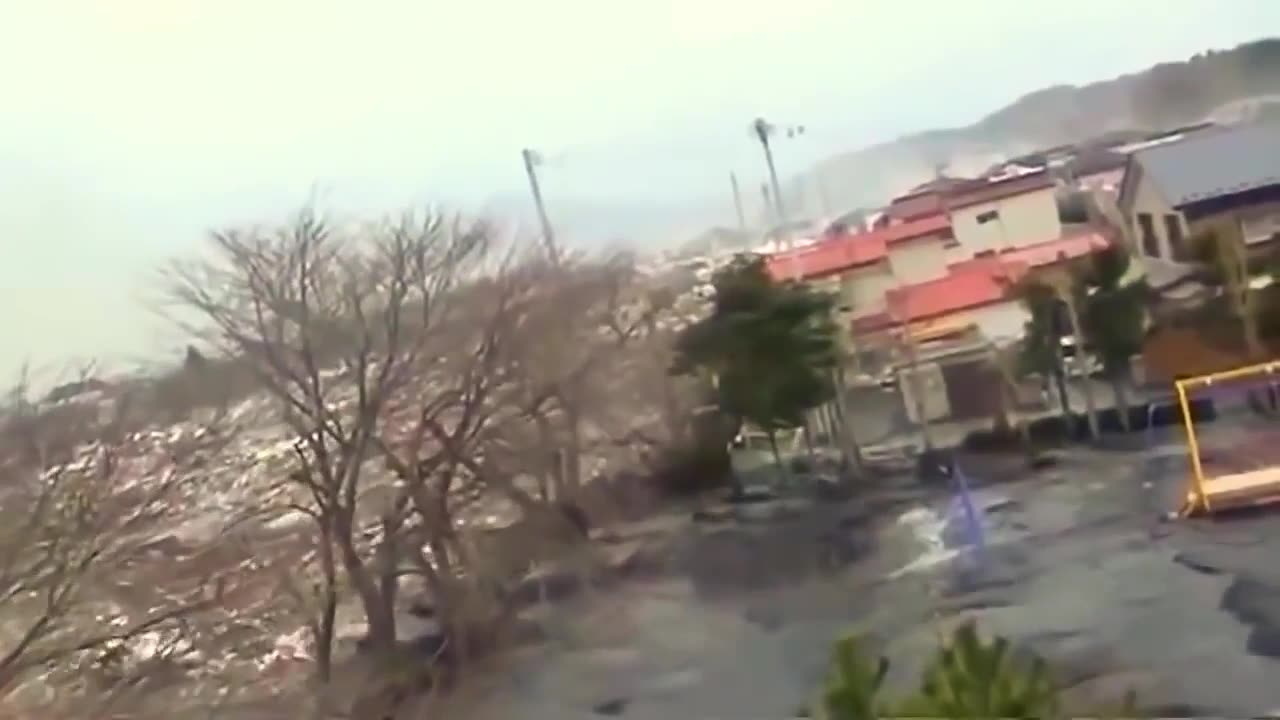 Japan Tsunami a strange creature was caught on camera