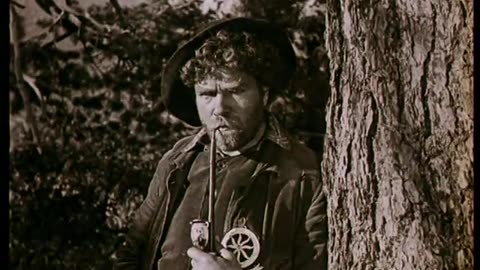 Blind Husbands (1919)