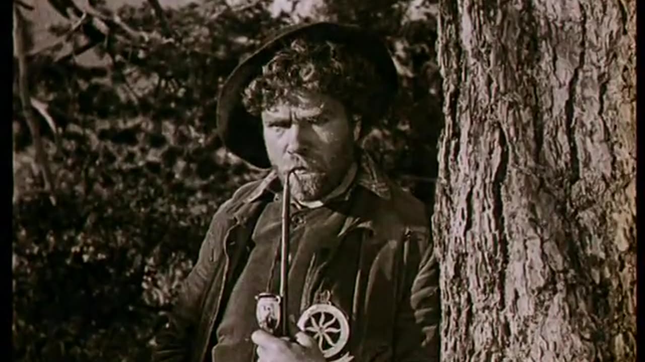 Blind Husbands (1919)