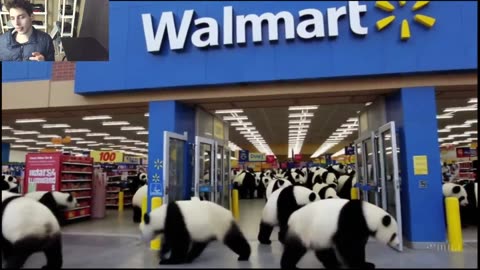 Outtake #1,214 Of Over 5 Panda Bears Roam Around A Walmart Supercenter Fake Funny Parody Video