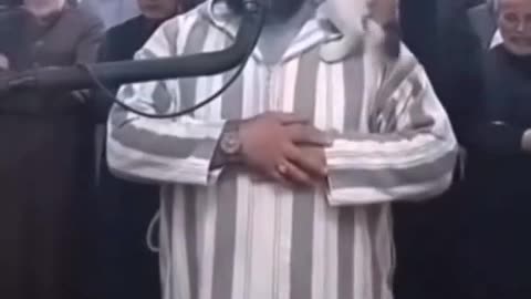 How did the cat differentiate between the Quran and other things?