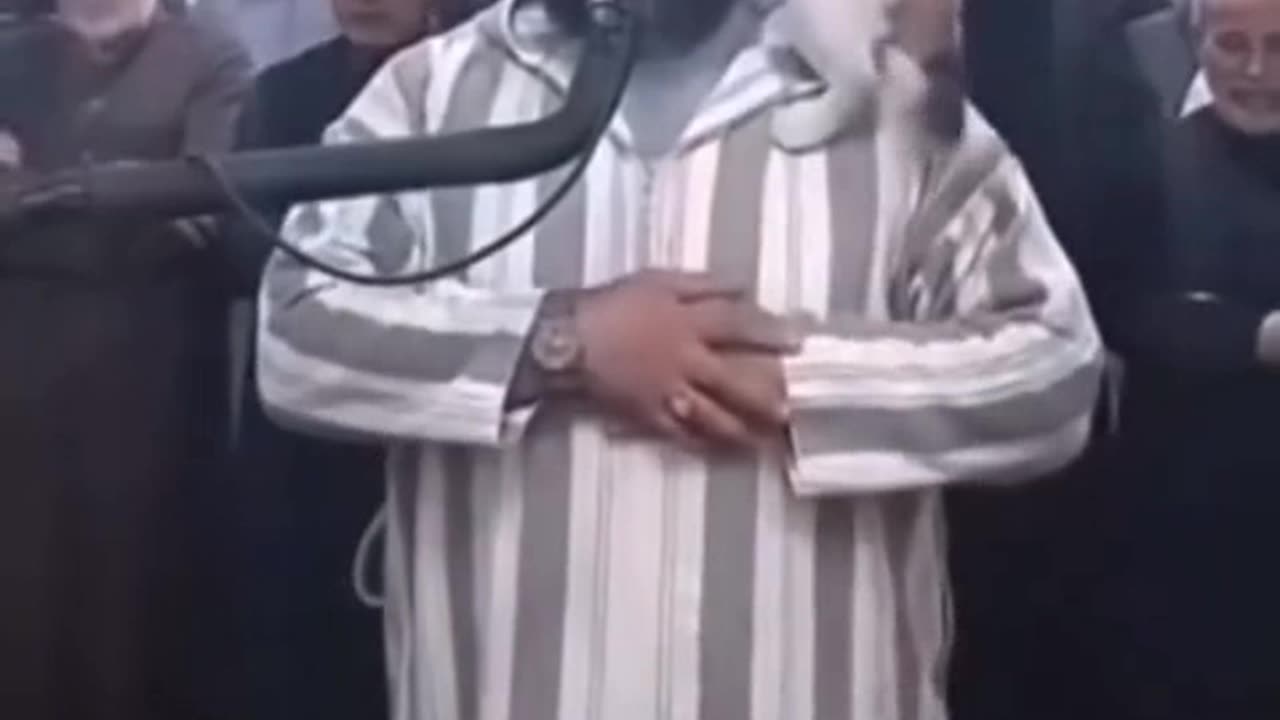 How did the cat differentiate between the Quran and other things?