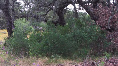 Experience our featured CBEO this week: 5J Ranch.