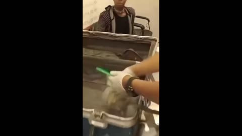 Daddy Goat 24/7 - Out Of Context Memes & Videos