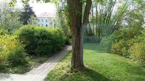 Another spring day Part 1