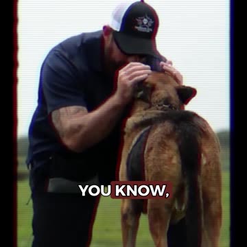 Should K9s Be Sacrificed?