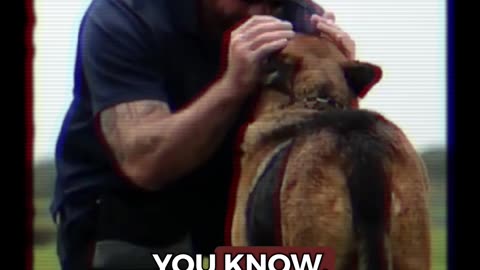 Should K9s Be Sacrificed?