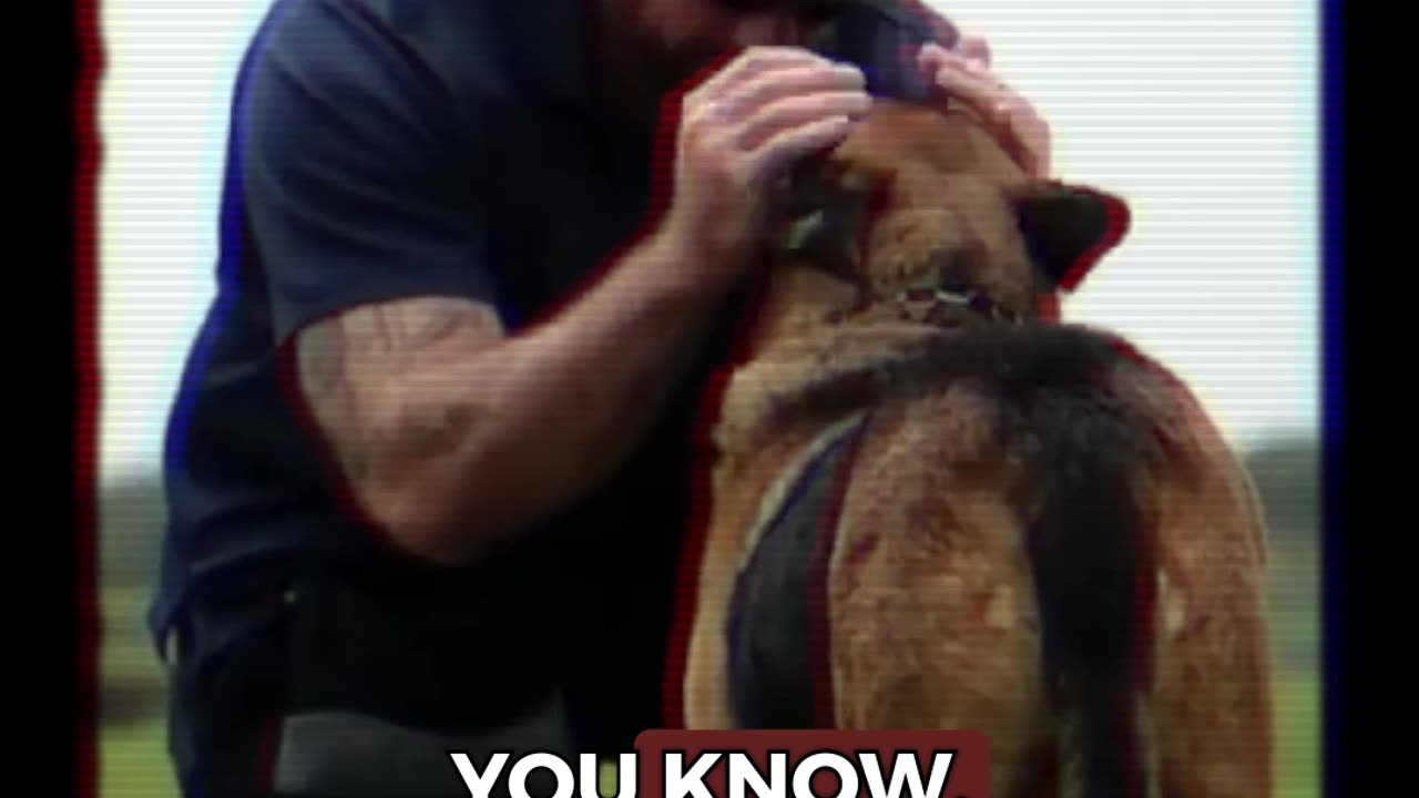 Should K9s Be Sacrificed?