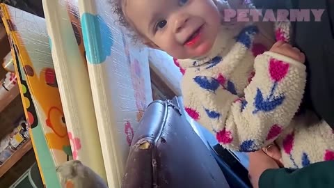 🐶 "Babies & Animals: The Cutest Friendships Ever!"