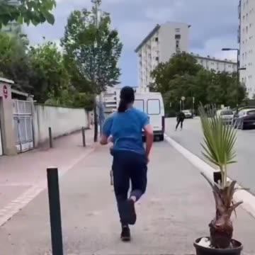 Why are there goats in Islamic neighborhoods in France?